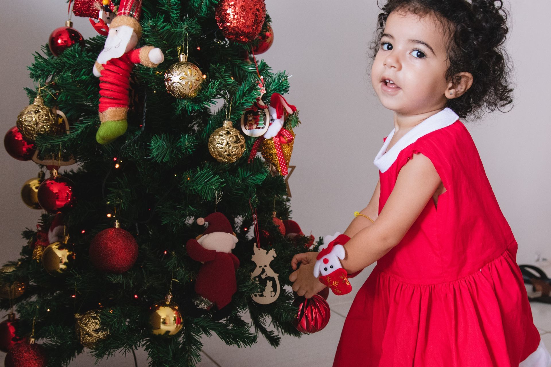 Foto O natal de Beatriz Foto O natal de Beatriz - Imagem 15