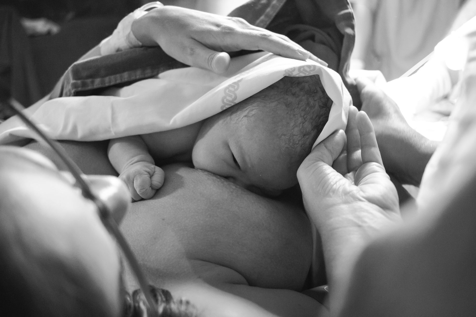 Foto O nascimento de Clara Foto O nascimento de Clara - Imagem 28