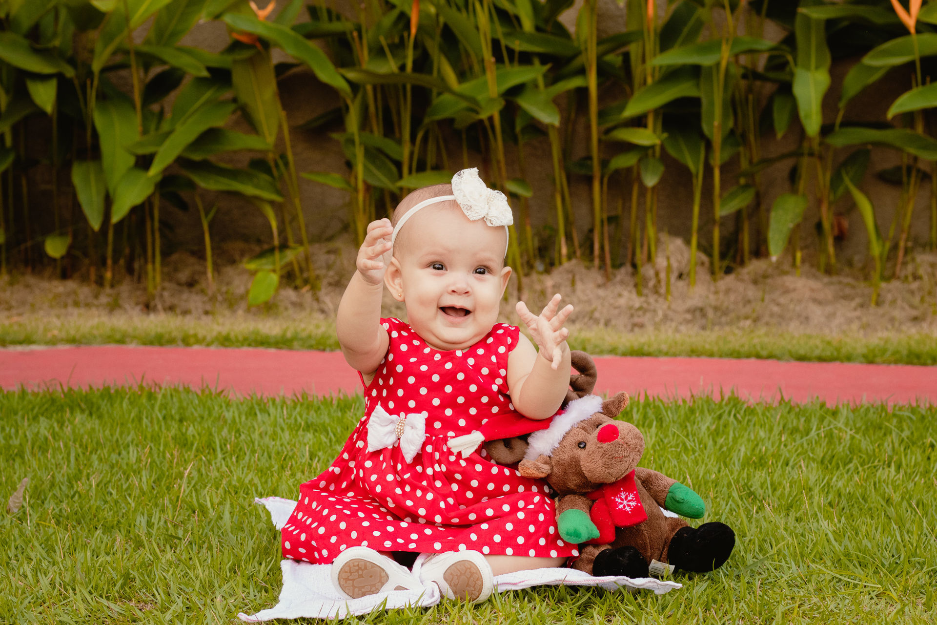 Foto O natal de Clara Foto O natal de Clara - Imagem 7