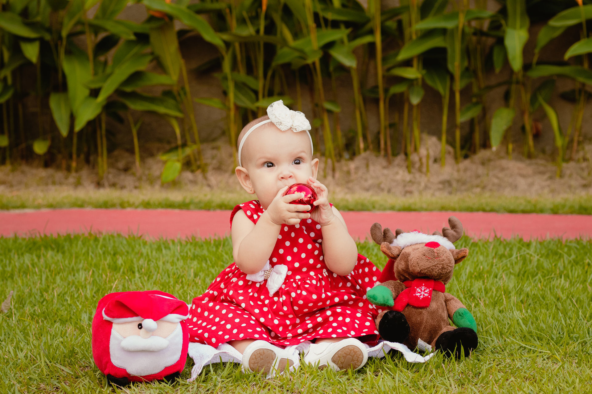 Foto O natal de Clara Foto O natal de Clara - Imagem 8