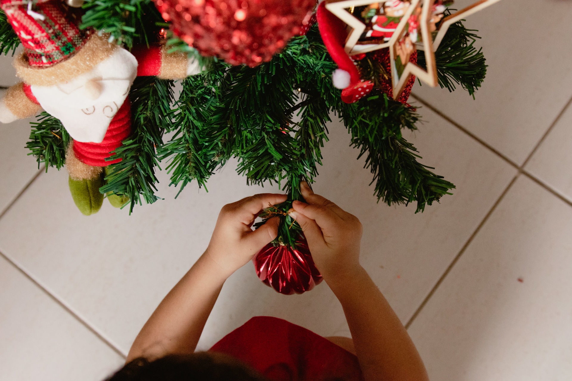 Foto Natal 2020: Beatriz Foto Natal 2020: Beatriz - Imagem 7