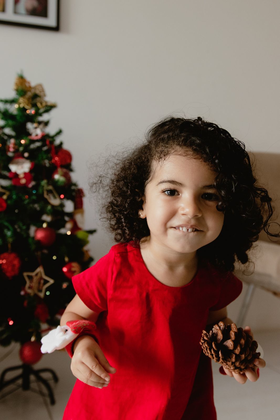 Foto Natal 2020: Beatriz Foto Natal 2020: Beatriz - Imagem 22