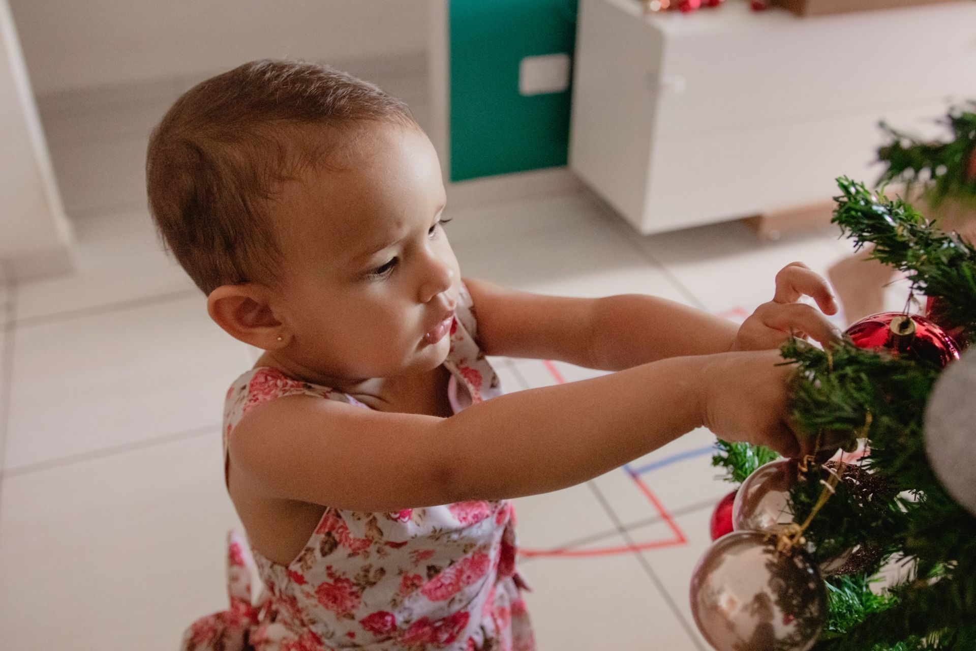 Foto Ensaio Nascer - Ensaio de Natal 2021 - Recife, PE Foto Ensaio Nascer - Ensaio de Natal 2021 - Recife, PE - Imagem 31
