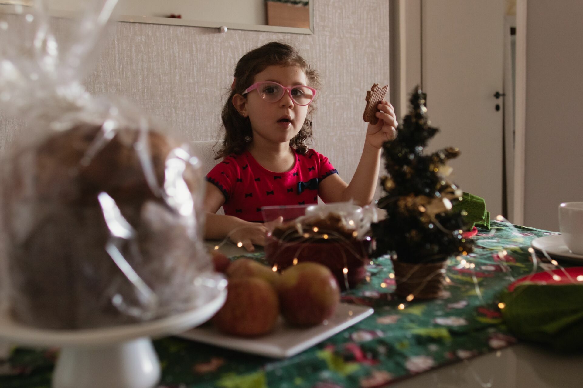 Foto Ensaio de Natal 2021 - Isabela Foto Ensaio de Natal 2021 - Isabela - Imagem 29
