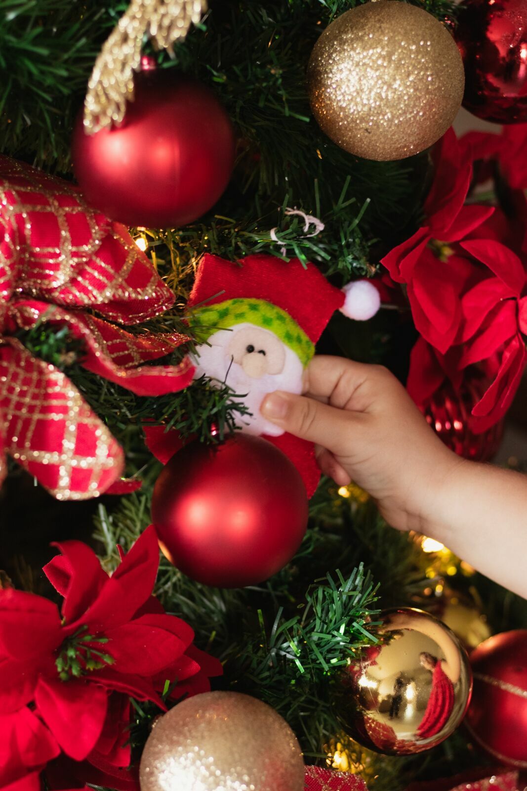 Foto Ensaio de Natal 2021 - Isabela Foto Ensaio de Natal 2021 - Isabela - Imagem 30