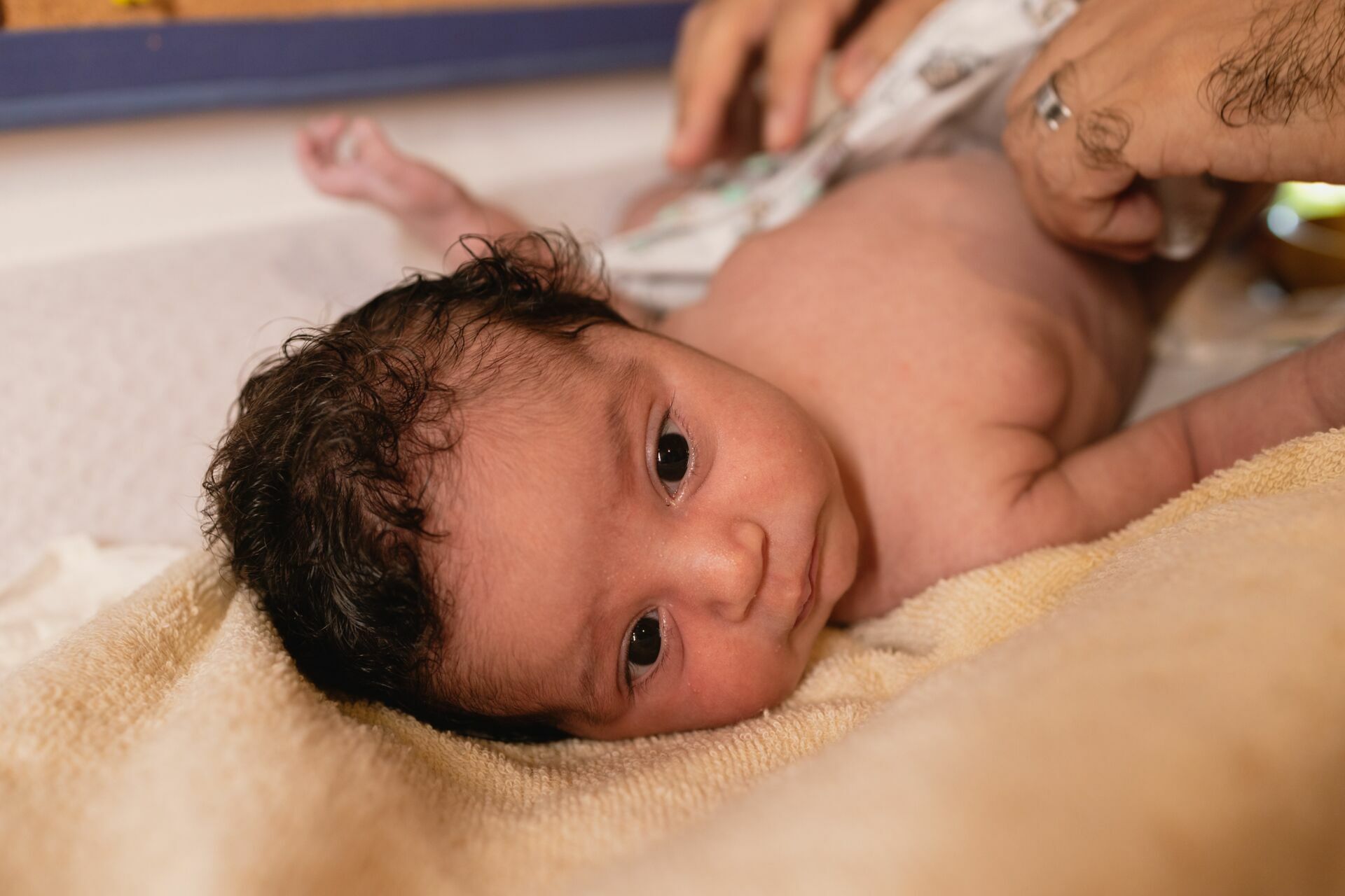 Foto Ensaio Newborn Lifestyle - Lua Flor, 16 dias - Recife, PE Foto Ensaio Newborn Lifestyle - Lua Flor, 16 dias - Recife, PE - Imagem 9