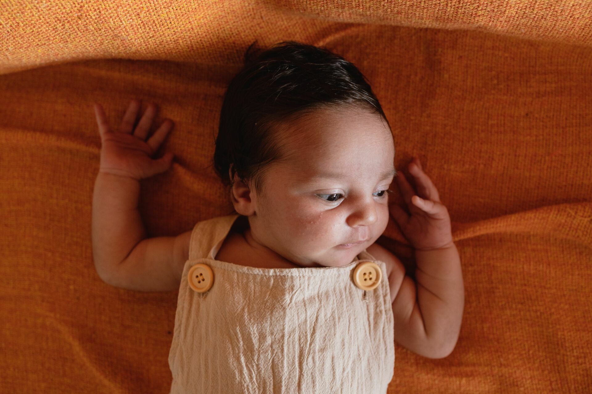 Foto Ensaio Newborn Lifestyle - Lua Flor, 16 dias - Recife, PE Foto Ensaio Newborn Lifestyle - Lua Flor, 16 dias - Recife, PE - Imagem 34